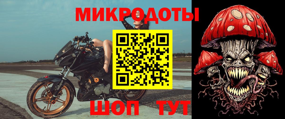Галлюциногенные грибы Cubensis Карабулак