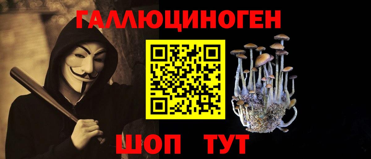 Карабулак  Псилоцибиновые грибы Psilocybine cubensis  Вход с VPN  Псилоцибиновые грибы Psilocybe 